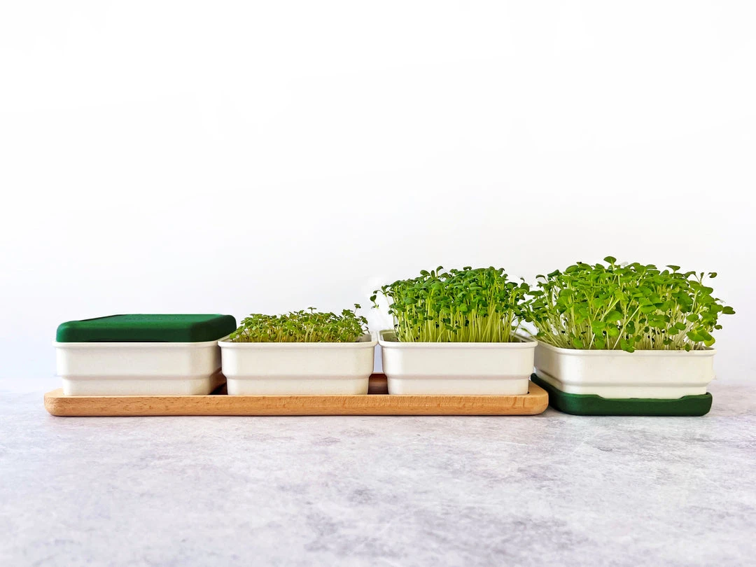 Micropod Continuous Grow Kit Gift Kits 8 Micropod Continuous Grow Kit Gift Kits