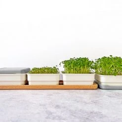 Micropod Continuous Grow Kit Gift Kits