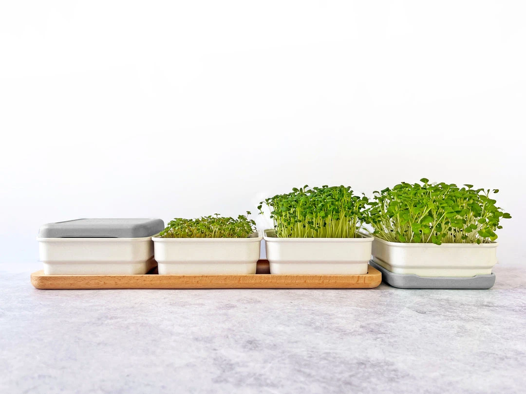 Micropod Continuous Grow Kit Gift Kits 3 Micropod Continuous Grow Kit Gift Kits