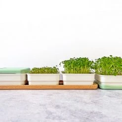 Micropod Continuous Grow Kit Gift Kits 13 Micropod Continuous Grow Kit Gift Kits