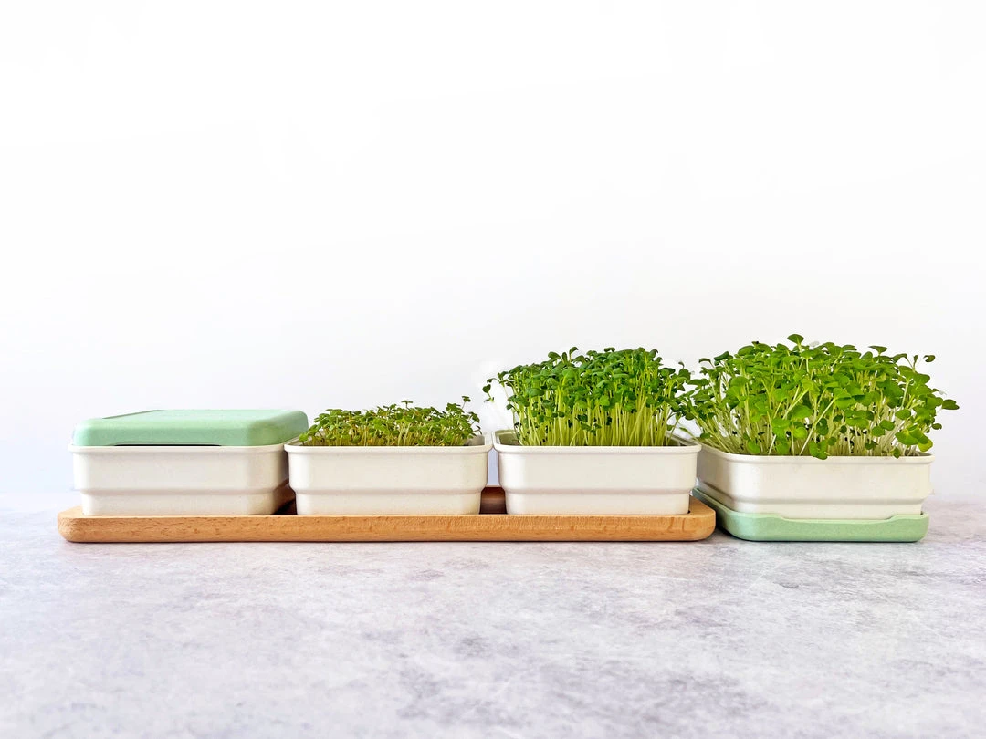 Micropod Continuous Grow Kit Gift Kits 7 Micropod Continuous Grow Kit Gift Kits