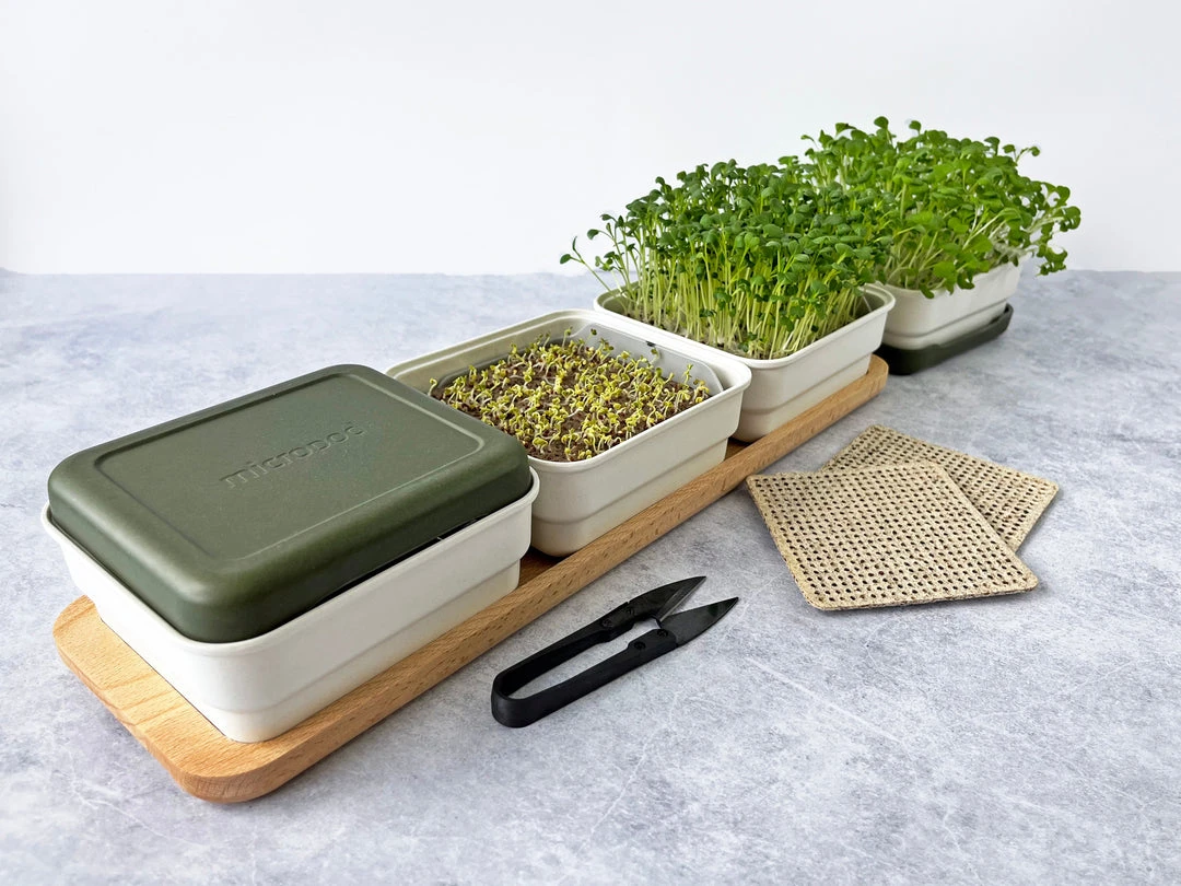 Micropod Continuous Grow Kit Gift Kits 5 Micropod Continuous Grow Kit Gift Kits