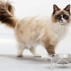 Bendo Lux Cat Bowls - Mix 'n' Match