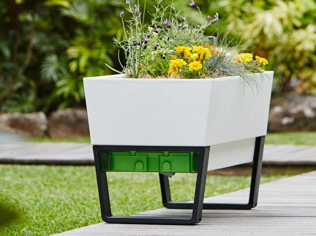 GLOWPEAR PTY LTD Urban Garden Outdoor Living 6 GLOWPEAR PTY LTD Urban Garden Outdoor Living