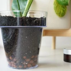 LECA - Canna Aqua Clay Balls 1L Bags Outdoor Accessories