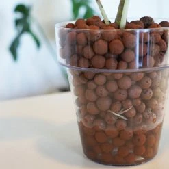 LECA - Canna Aqua Clay Balls 1L Bags Outdoor Accessories