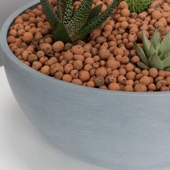 Plants In A Box Full Sun LECA + Large Cactus Bowl Kit