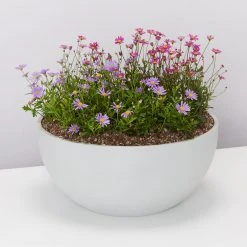 Ecopots Eco Large Round Pot