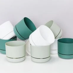 Indoor Garden Mr Kitly 8 Houseplants & 8 Pots - Pet-Friendly Edition Pet-friendly Indoor Plants