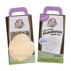 Little Acre Gourmet Mushrooms Lion's Mane Mushroom Grow Kit Gift Kits
