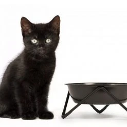 Bendo Lux Cat Bowls - Mix 'n' Match