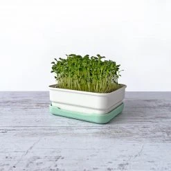 Micropod Mini Starter Kit