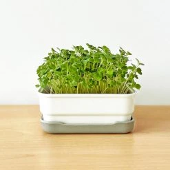 Micropod Mini Starter Kit