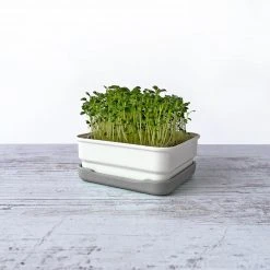 Micropod Mini Starter Kit