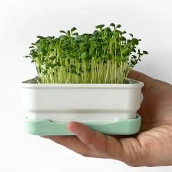 Micropod Mini Starter Kit