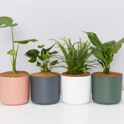 Elho Pots & Hanging Baskets Round Eco-Friendly Planters - Self-Watering