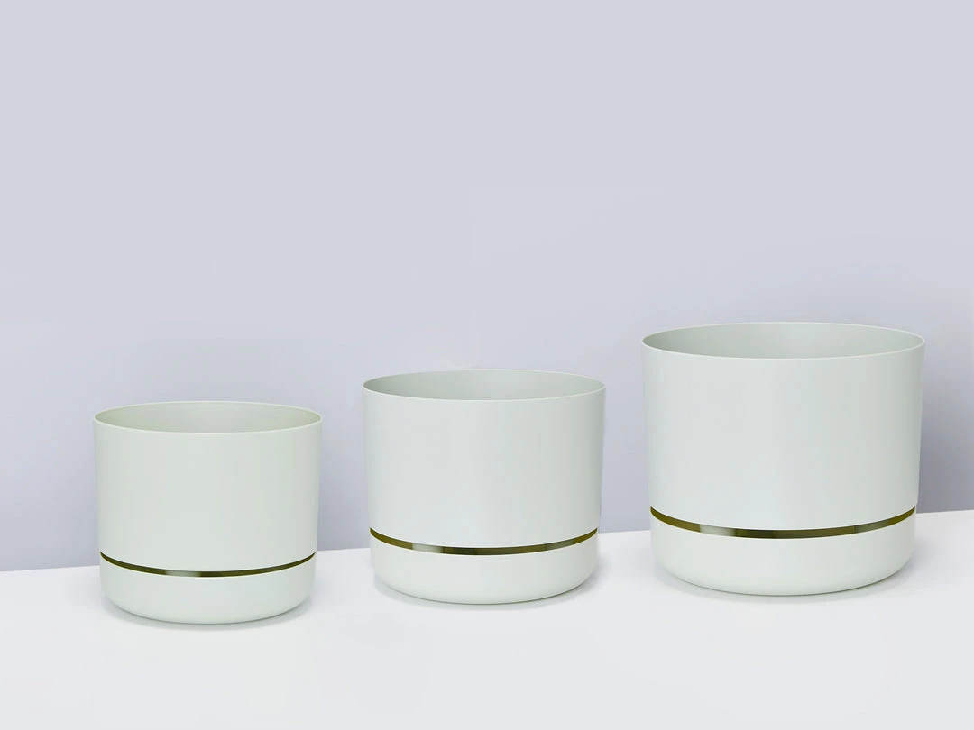 Indoor Garden Mr Kitly 3 Plants & 3 Assorted Sized Pots Plant Packs 11 Indoor Garden Mr Kitly 3 Plants & 3 Assorted Sized Pots Plant Packs