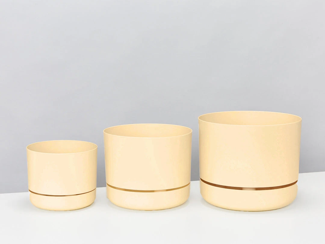 Indoor Garden Mr Kitly 3 Plants & 3 Assorted Sized Pots Plant Packs 10 Indoor Garden Mr Kitly 3 Plants & 3 Assorted Sized Pots Plant Packs