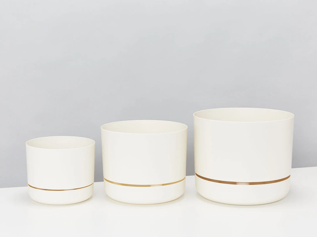 Indoor Garden Mr Kitly 3 Plants & 3 Assorted Sized Pots Plant Packs 12 Indoor Garden Mr Kitly 3 Plants & 3 Assorted Sized Pots Plant Packs