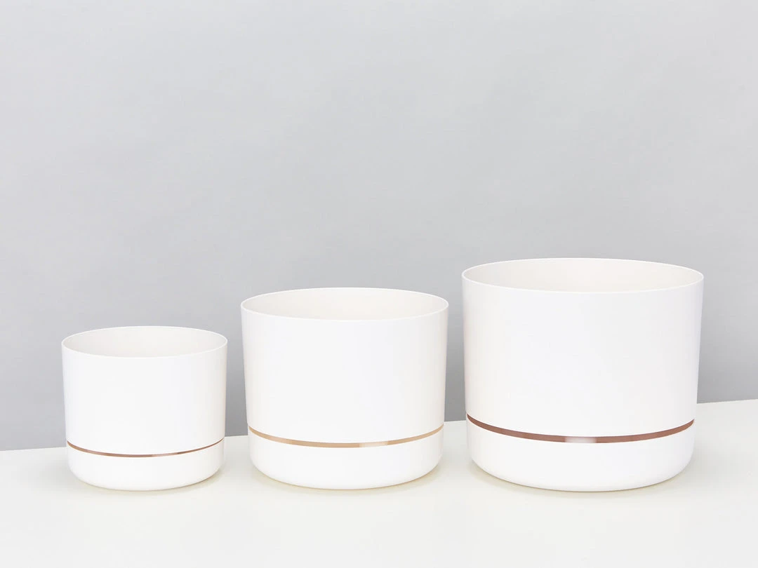 Indoor Garden Mr Kitly 3 Plants & 3 Assorted Sized Pots Plant Packs 14 Indoor Garden Mr Kitly 3 Plants & 3 Assorted Sized Pots Plant Packs