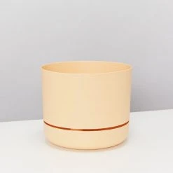 Indoor Garden Mr Kitly 3 Plants & 3 Pots - 215mm 21 Indoor Garden Mr Kitly 3 Plants & 3 Pots - 215mm