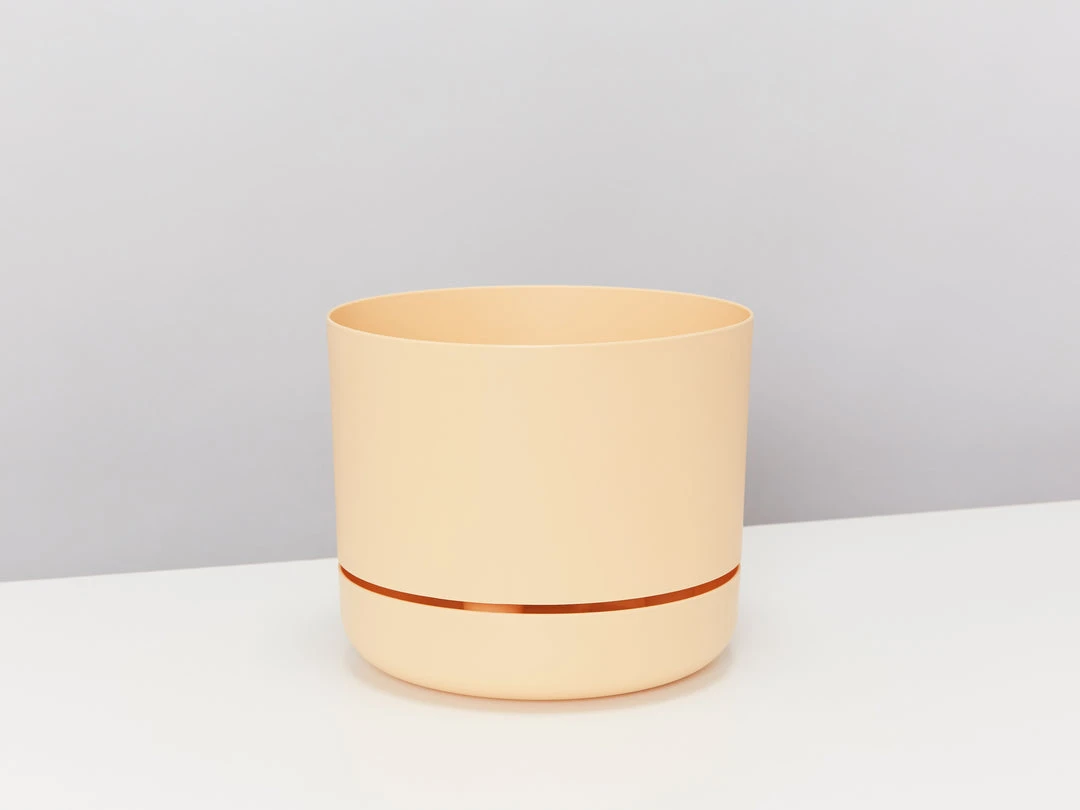 Indoor Garden Mr Kitly 3 Plants & 3 Pots - 215mm 10 Indoor Garden Mr Kitly 3 Plants & 3 Pots - 215mm