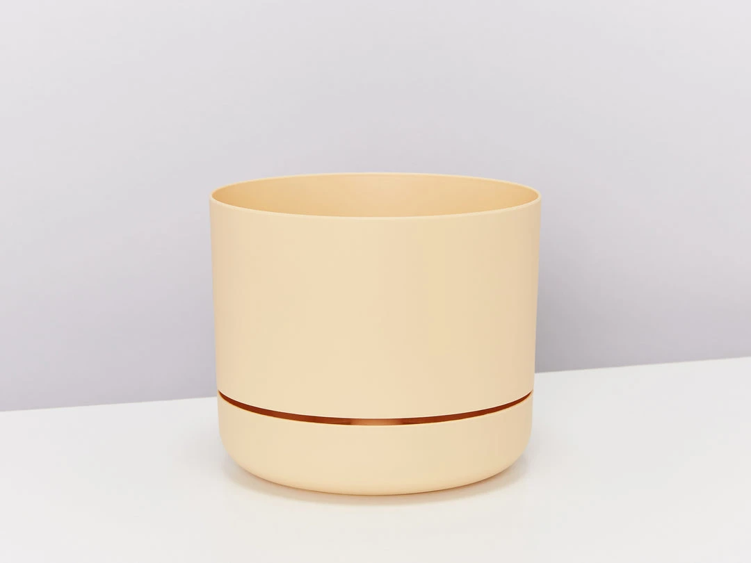 Indoor Garden Easy Care Plants Mr Kitly 4 Houseplants & 4 Pots 12 Indoor Garden Easy Care Plants Mr Kitly 4 Houseplants & 4 Pots