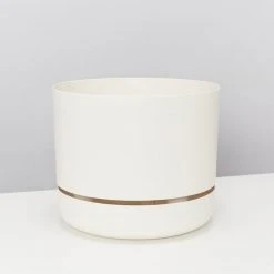 Indoor Garden Pet-friendly Indoor Plants Mr Kitly 6 Houseplants & 6 Pots - Pet-Friendly Edition