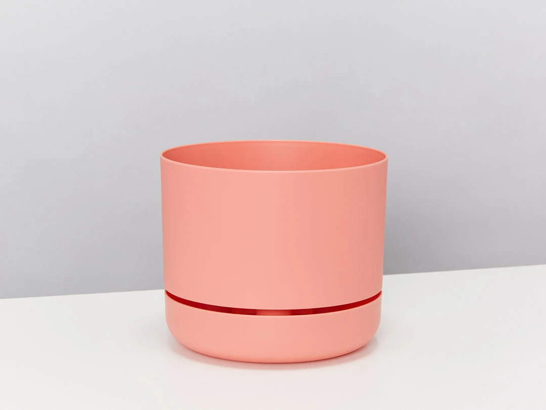 Indoor Garden Easy Care Plants Mr Kitly 4 Houseplants & 4 Pots 14 Indoor Garden Easy Care Plants Mr Kitly 4 Houseplants & 4 Pots