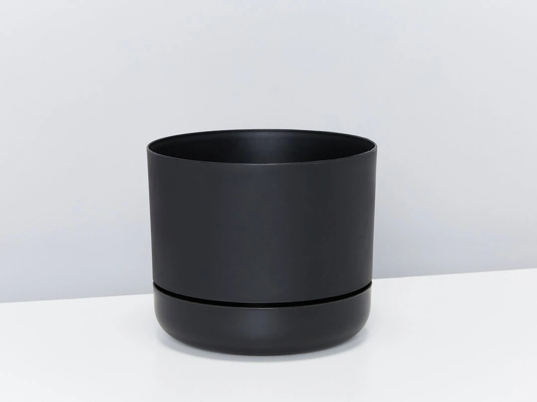 Indoor Garden Easy Care Plants Mr Kitly 4 Houseplants & 4 Pots 10 Indoor Garden Easy Care Plants Mr Kitly 4 Houseplants & 4 Pots