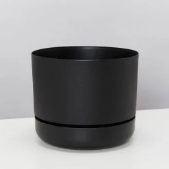 Indoor Garden Mr Kitly 3 Plants & 3 Pots - 215mm 17 Indoor Garden Mr Kitly 3 Plants & 3 Pots - 215mm