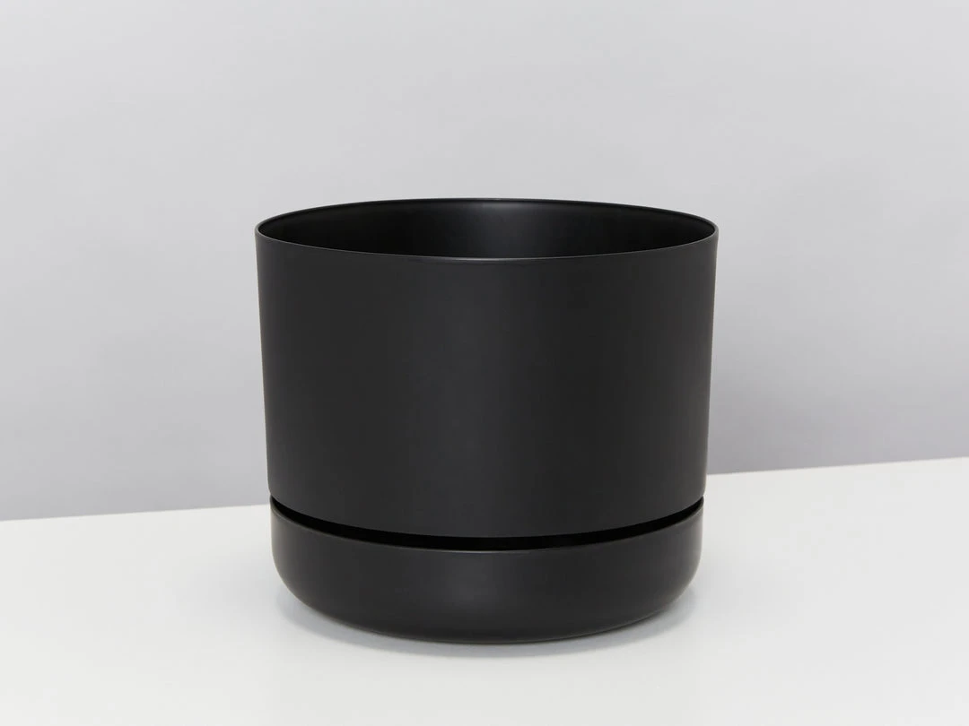 Indoor Garden Mr Kitly 3 Plants & 3 Pots - 215mm 6 Indoor Garden Mr Kitly 3 Plants & 3 Pots - 215mm