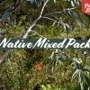 Shrubs Native Mixed Pack
