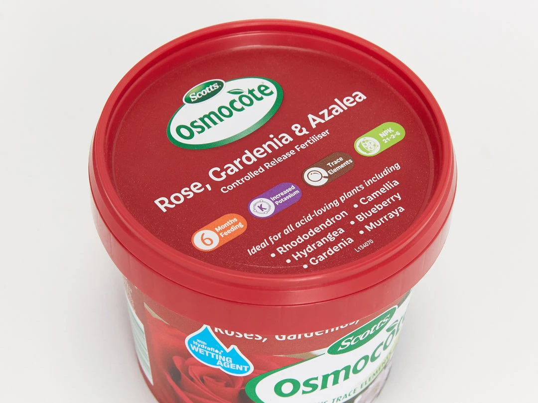 Outdoor Accessories Osmocote Roses, Gardenias, Azaleas & Camellias Fertiliser 5 Outdoor Accessories Osmocote Roses, Gardenias, Azaleas & Camellias Fertiliser