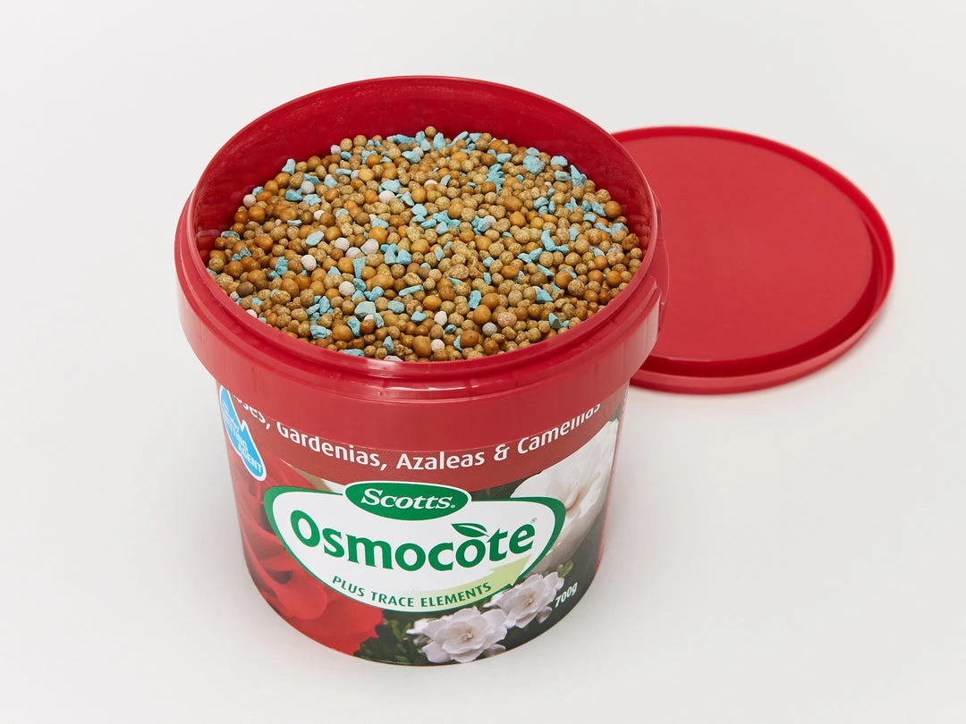 Outdoor Accessories Osmocote Roses, Gardenias, Azaleas & Camellias Fertiliser 4 Outdoor Accessories Osmocote Roses, Gardenias, Azaleas & Camellias Fertiliser
