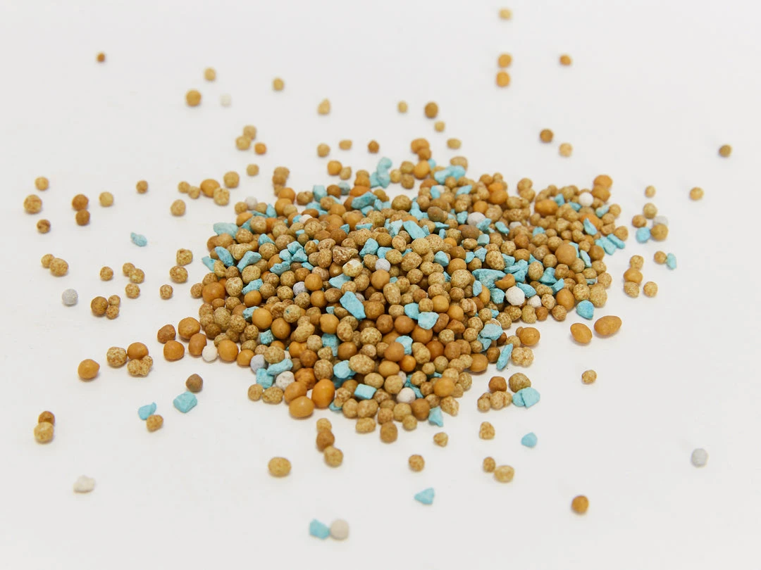 Outdoor Accessories Osmocote Roses, Gardenias, Azaleas & Camellias Fertiliser 6 Outdoor Accessories Osmocote Roses, Gardenias, Azaleas & Camellias Fertiliser