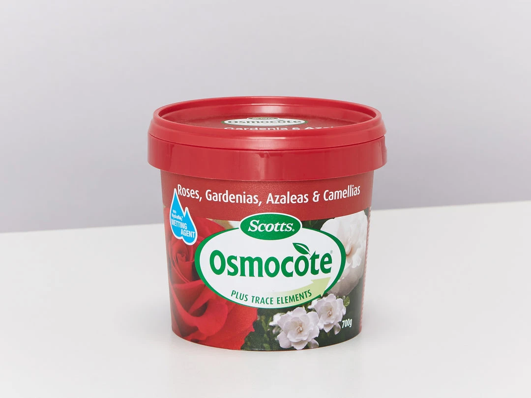 Outdoor Accessories Osmocote Roses, Gardenias, Azaleas & Camellias Fertiliser 3 Outdoor Accessories Osmocote Roses, Gardenias, Azaleas & Camellias Fertiliser