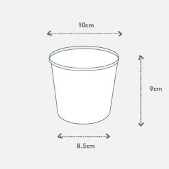 Pot + Plant Gift Box Syngonium Confetti ???? - Pot + Plant + Soil Syngoniums