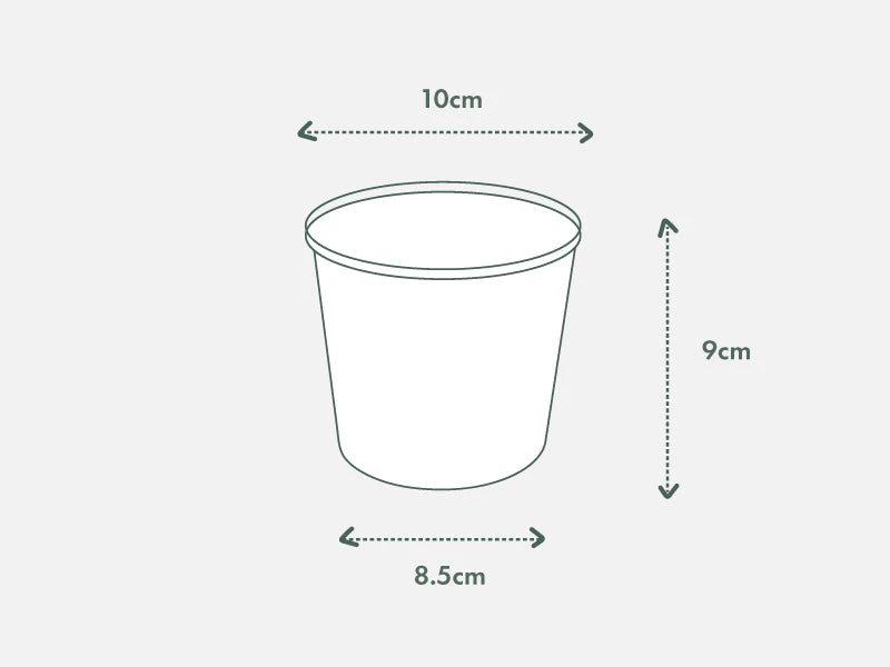 Pot + Plant Gift Box Pothos Marble Queen - Pot + Plant + Soil Pothos 'Devils Ivy' 21 Pot + Plant Gift Box Pothos Marble Queen - Pot + Plant + Soil Pothos 'Devils Ivy'