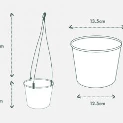 Pot + Plant Gift Box Pothos Snow Queen - Pot + Plant + Soil Easy Care Plants