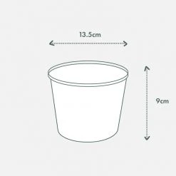 Indoor Garden Pool Friendly Plants Sansevieria Cylindrica Snake Plants