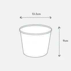 Urban Eden Oatmeal Vessel + Potted Plant