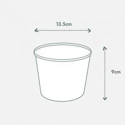 Indoor Garden Snake Plants Sansevieria Trifasciata Moonshine With Pot Option