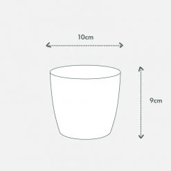 Elho Plant + Pot Multi Packs Mini Eco Gifting Pots With Cacti