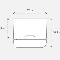 Pot + Plant Gift Box Aglaonema Thai Snowflake - Pot + Plant + Soil