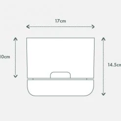 Pot + Plant Gift Box Cebu Blue Pothos - Pot + Plant + Soil