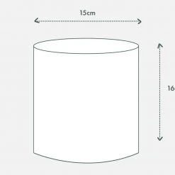 Urban Eden Mocha Vessel + Potted Plant