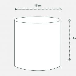 Urban Eden Oatmeal Vessel + Potted Plant