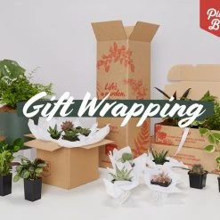 Outlet Plants in a box Store 37 Plants In A Box Birthday Gift Wrapping