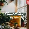 Indoor Garden The Plant Killers Pack - 85mm Plant Packs